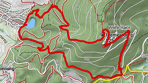 Vom Bergsee zum Fremersberg