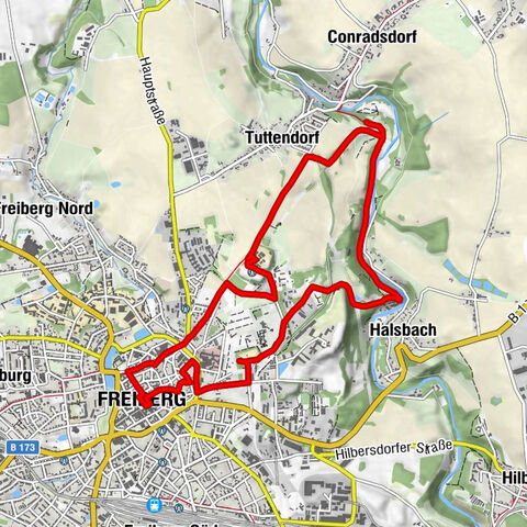 Salto dell'albero per tutta la famiglia a Freiberg